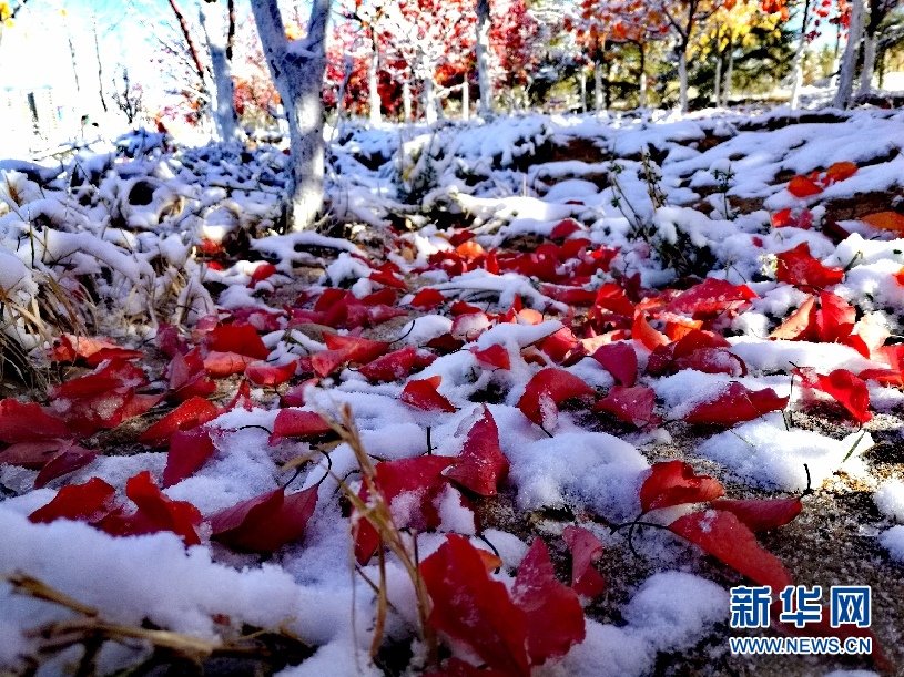 阿拉善降下秋季第一场雪