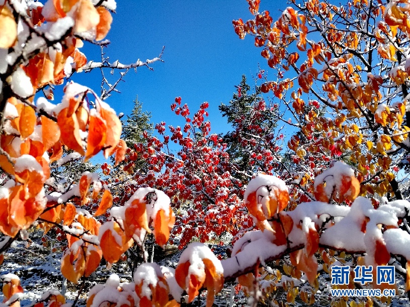 阿拉善降下秋季第一场雪