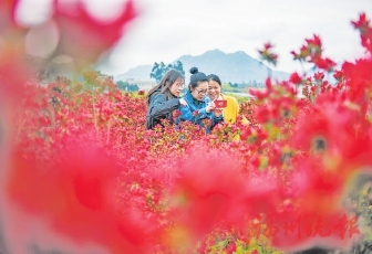 陌上花开　春满西洋