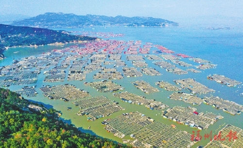 井水村：罗源“天涯海角”　唱响蝶变之歌