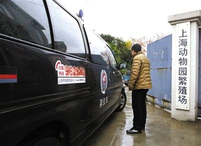 上海动物园繁殖场门口。图/东方IC