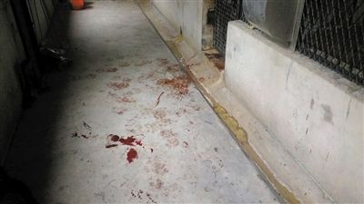 事发现场。图/东方IC
