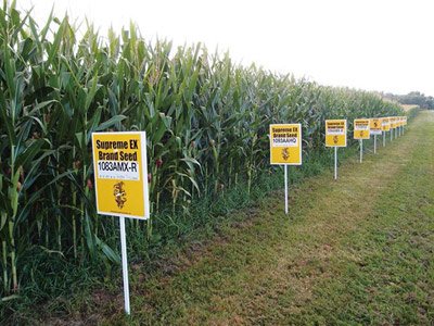 美国俄亥俄州耶洛斯普林斯村庄的转基因玉米田里插着标牌，写明都有哪些转基因品种。