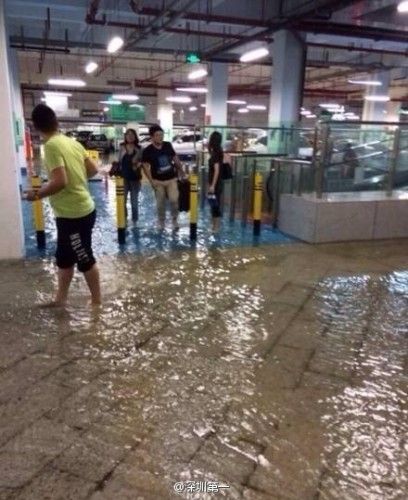 广东多地遭冰雹突袭 树倒墙塌车毁(图)
