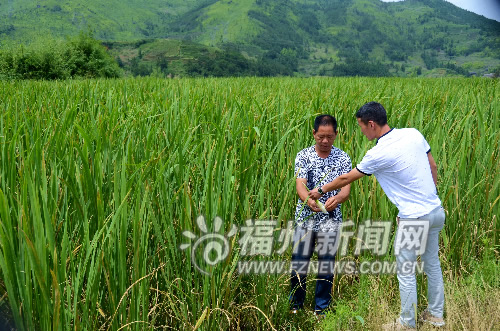 福州新闻网