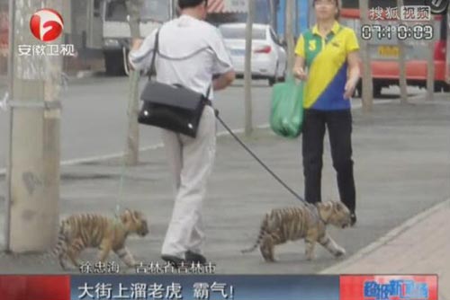 福州新闻网
