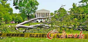 暴风雨袭华盛顿 四百万家庭停电