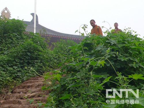 超化寺分上中下三处，僧人搬运物品需爬高上低（来源：CNTV记者王在华摄）
