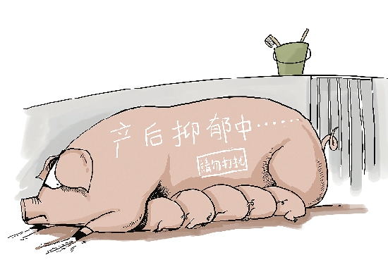 本页无标题