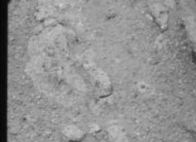 美好奇号传来最新火星黑白照片