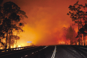 由于高温干燥，澳大利亚各地山火频发。8日晚，新南威尔士州王子高速公路旁的森林发生大火。
