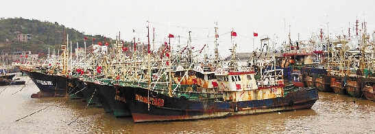 因为无鱼可捕，上千艘渔船3月中旬起就停在温岭钓浜港。