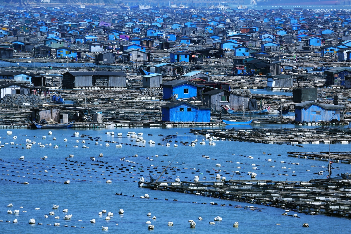 海上城市