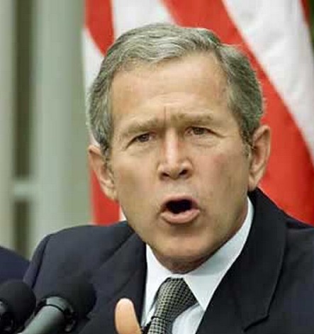美国前总统小布什资料图