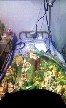 河北投毒案系商贩因纠纷报复同行 致3死5中毒