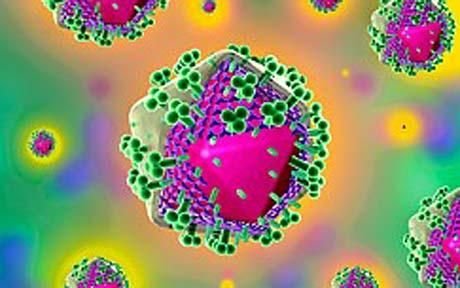 科学家称成功研制艾滋病疫苗 将进行人体试验